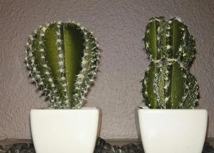 Domus Salamanca. Melchor Cano. Centro. 4 * Salamanque